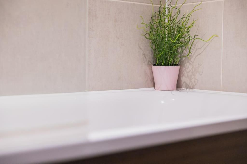 Cosy City Centre Apartment With Parking バーミンガム エクステリア 写真
